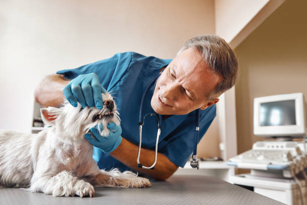 Best Dental Abscess Treatment in Italy, TX